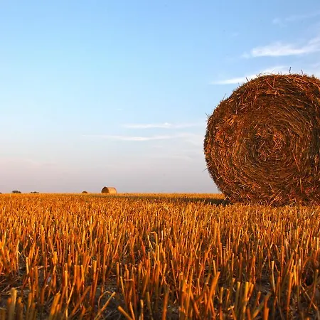 דירה Am Krakower
