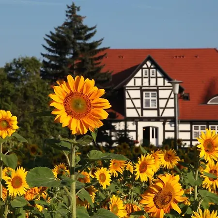 Am Krakower * Serrahn