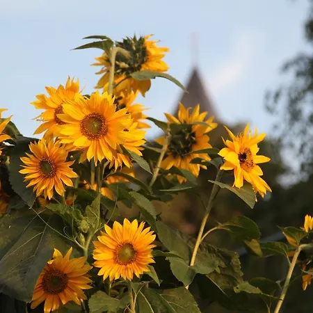 Am Krakower * Serrahn