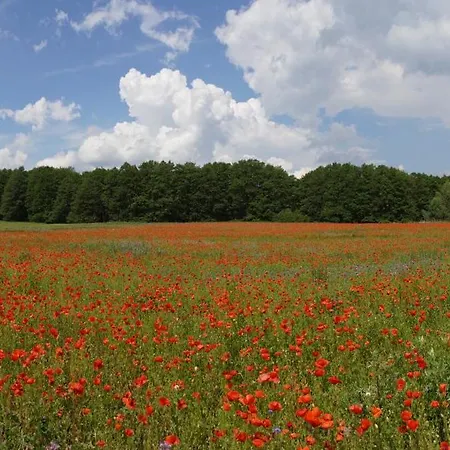 Am Krakower דירה Serrahn